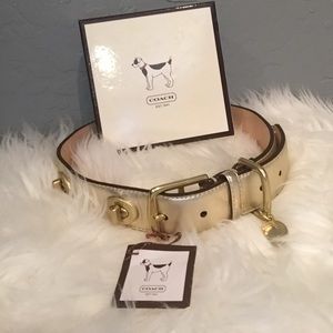 Coach XL dog collar